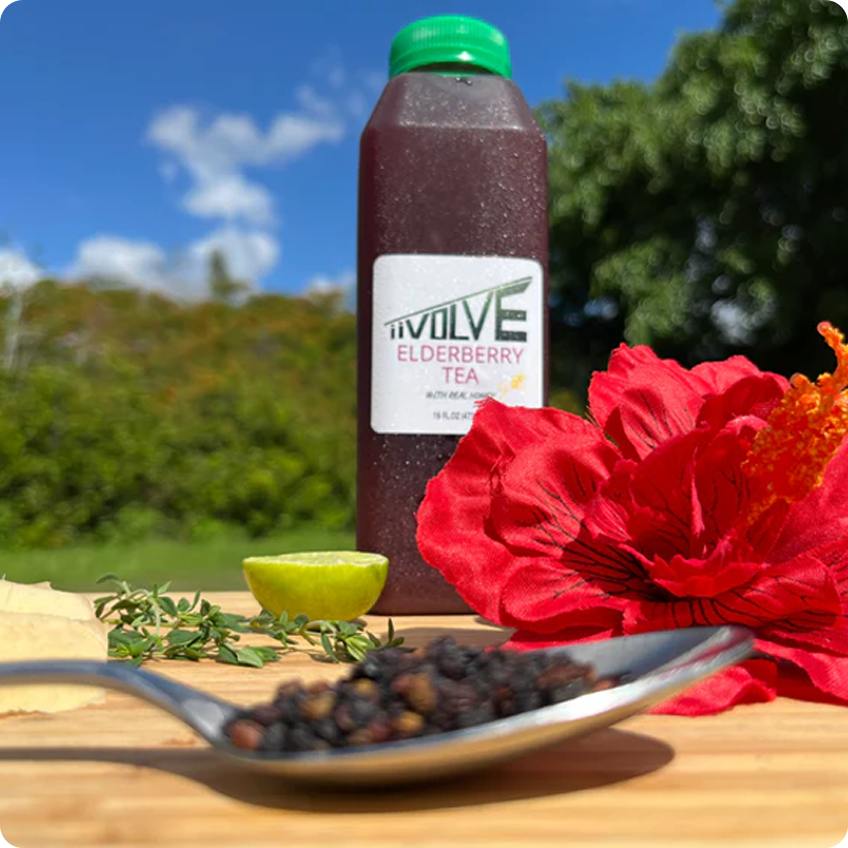 Elderberry Tea - 16 oz.