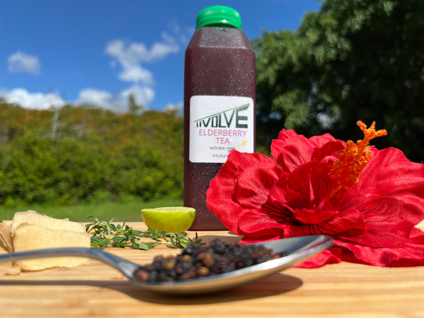 iiVolve Elderberry Tea - 16 oz.