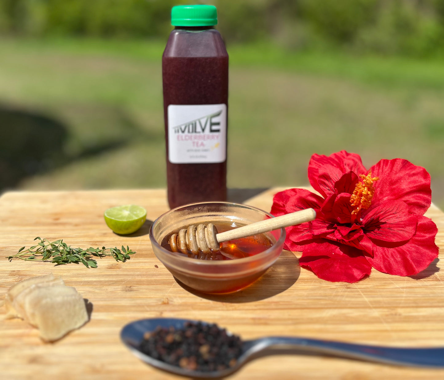 iiVolve Elderberry Tea - 16 oz.